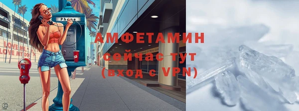 прущие грибы Аркадак