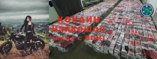 прущие грибы Аркадак