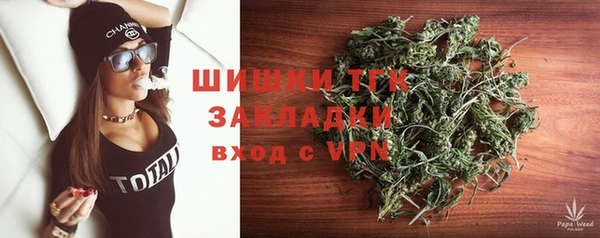 прущие грибы Аркадак