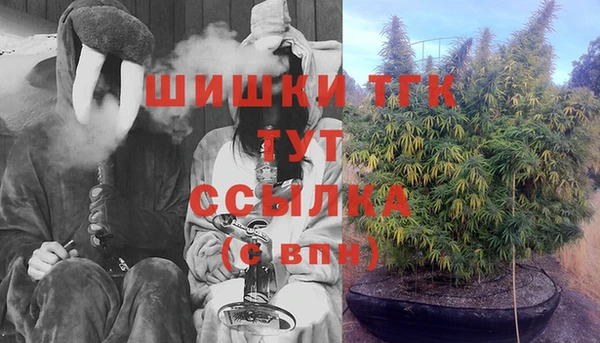 прущие грибы Аркадак